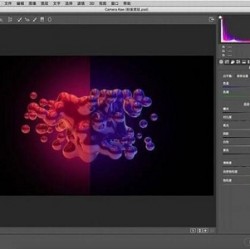 强大的RAW文件编辑工具(Adobe Camera Raw)Win7最终版推荐